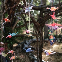 Paper cranes decorating the Ceremony Arbor.